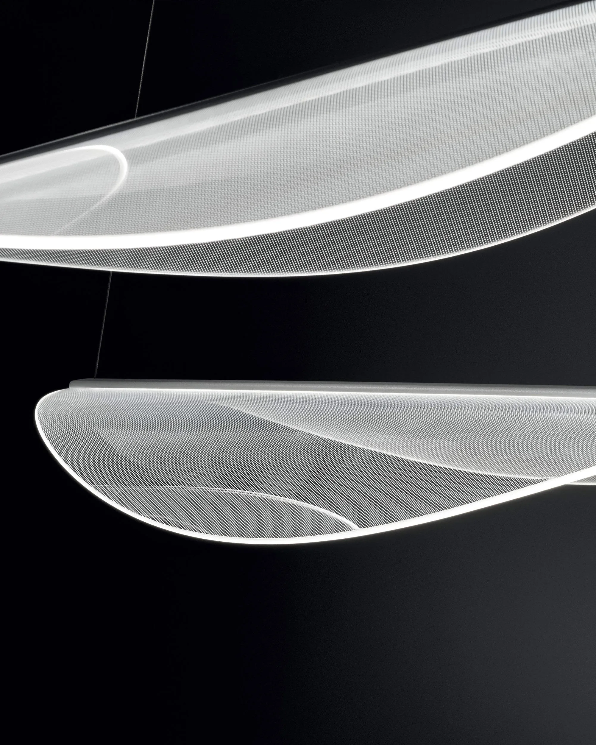 Diphy Pendant Lamp