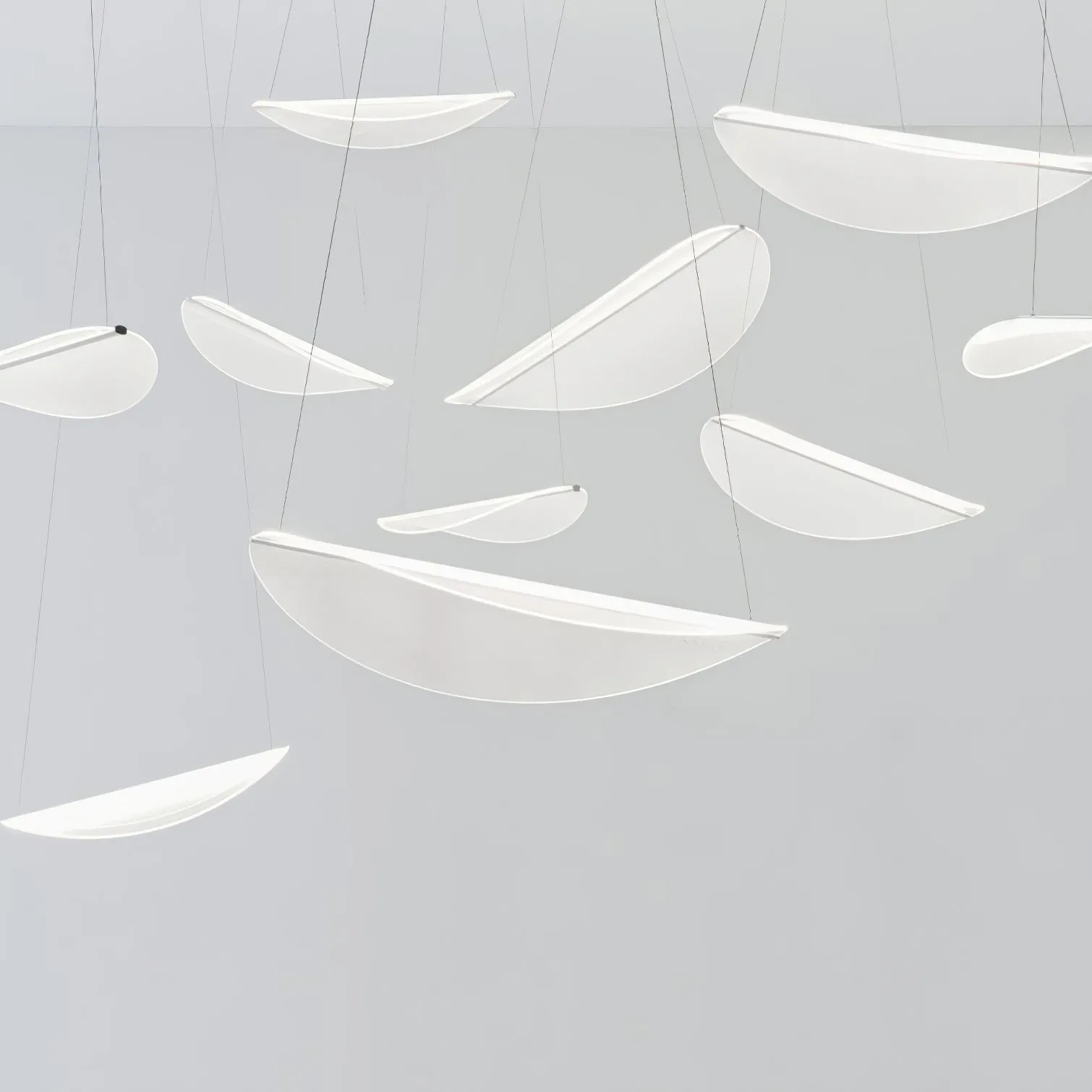 Diphy Pendant Lamp