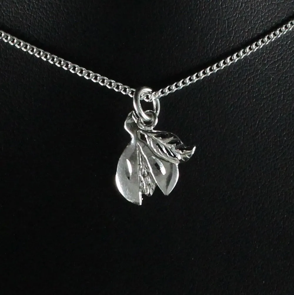 Flat Grenada Nutmeg Pendant with Chain