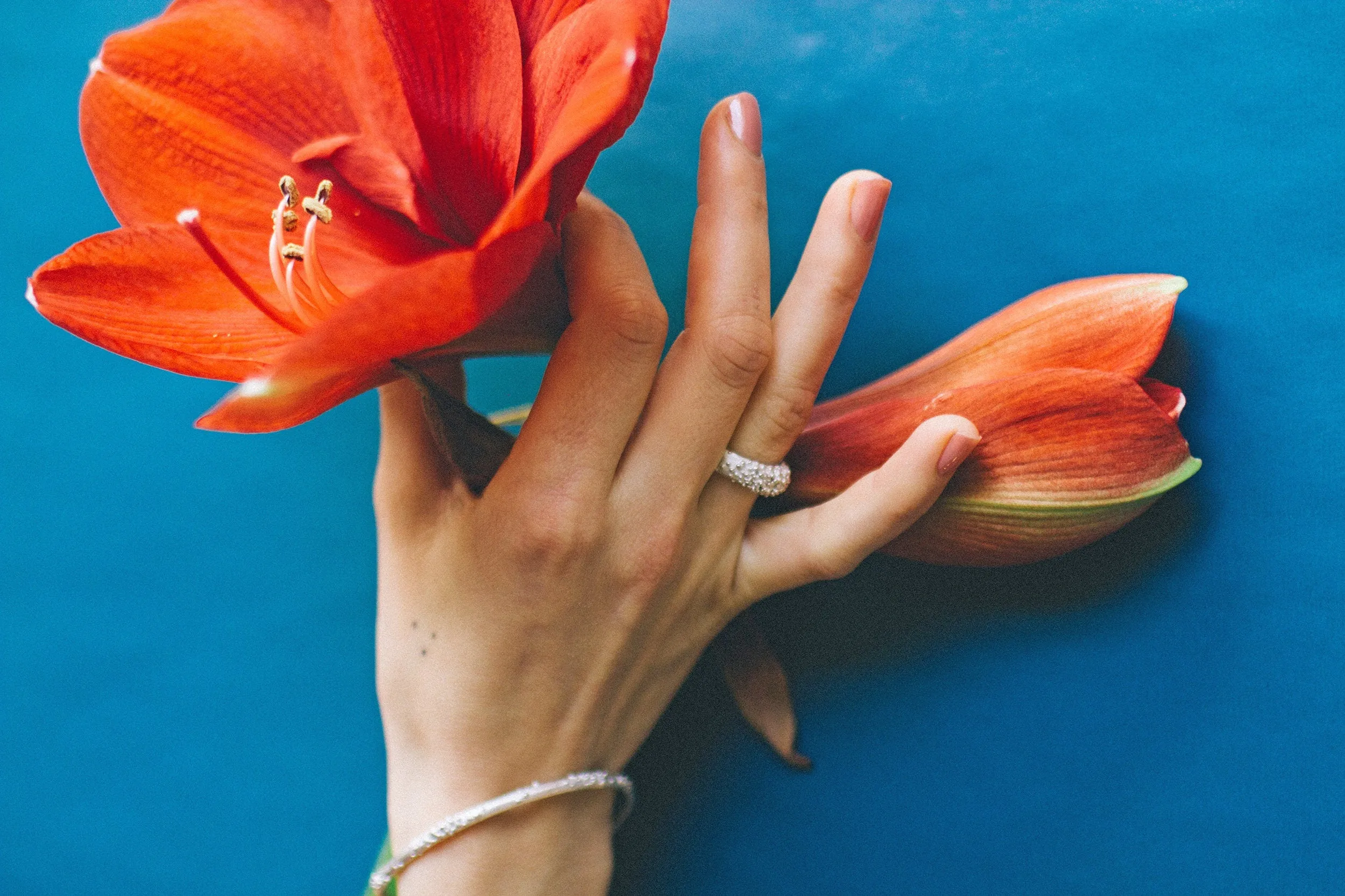 Silver Coral Bangle