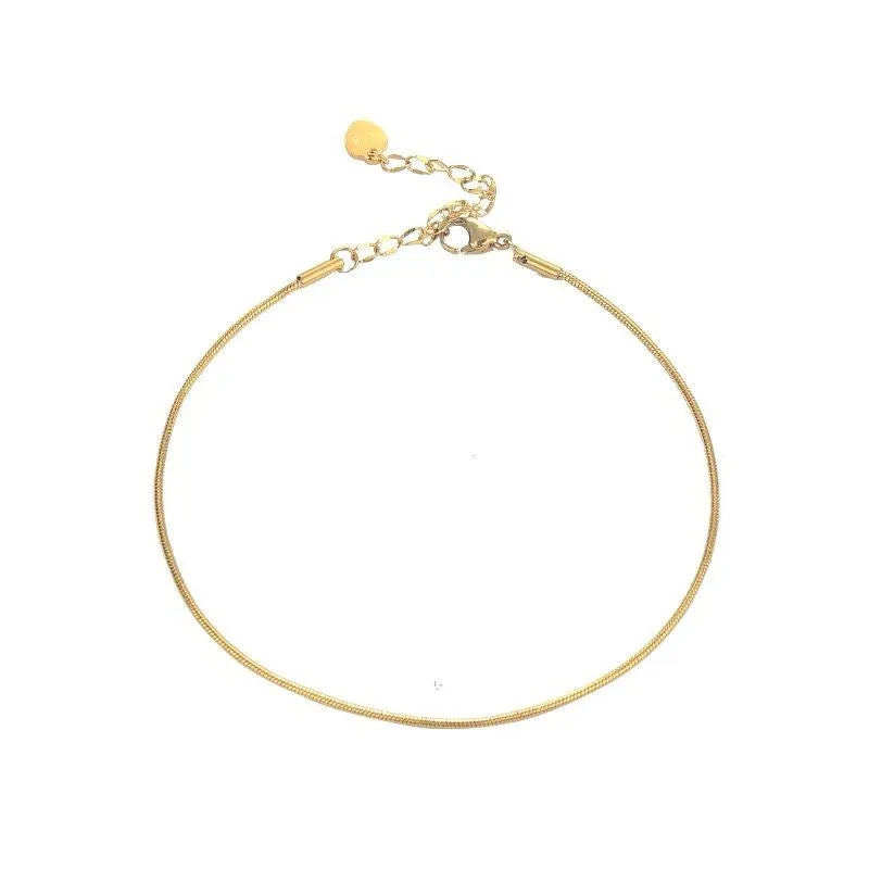 Titanium Steel Color-preserving Snake Bone Bracelet Female